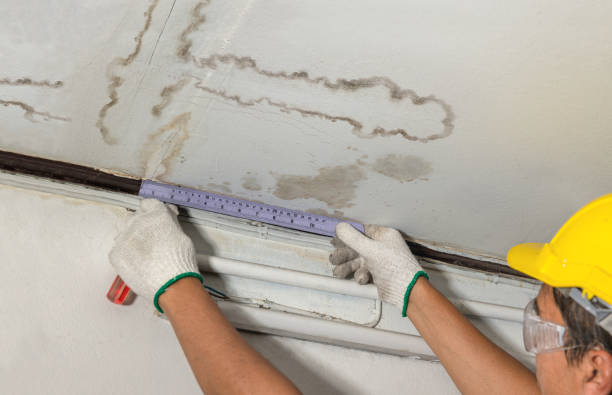 Reliable Water Damage contractor in Gainesville, FL by Water Damage Irwin
